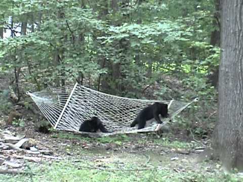 Ако нека дремнат и они се душички :)