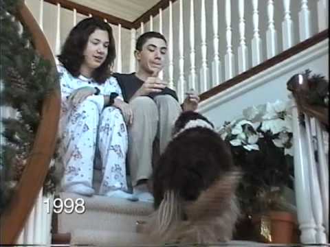 Видео: Во текот  на 25 години ги снимал своите деца како се симнуваат по скали!