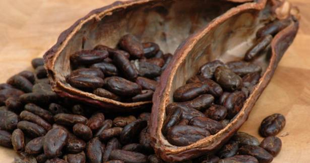 Roasted Cacao Beans