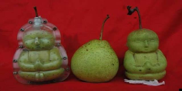 buddha-pears2