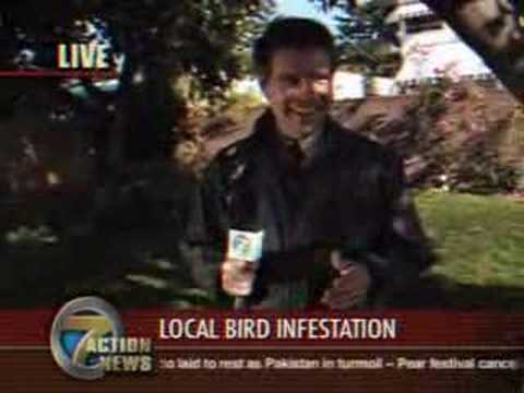 Птица vs. новинар!