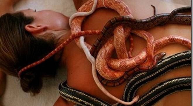 -со-змии.jpg