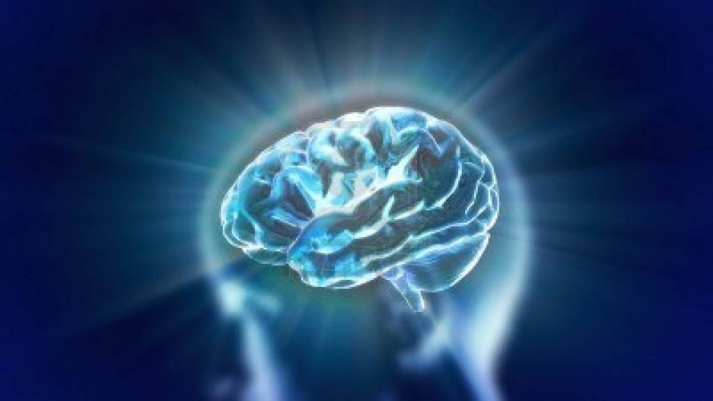 13628239-x-ray-brain-to-represent-the-theme-biology-intelligent-technology.jpg