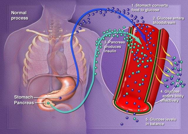 blood-sugar1