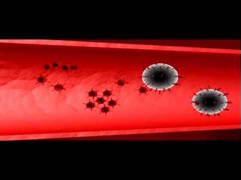 Како ХИВ вирусот го напаѓа и уништува телото на заразените?