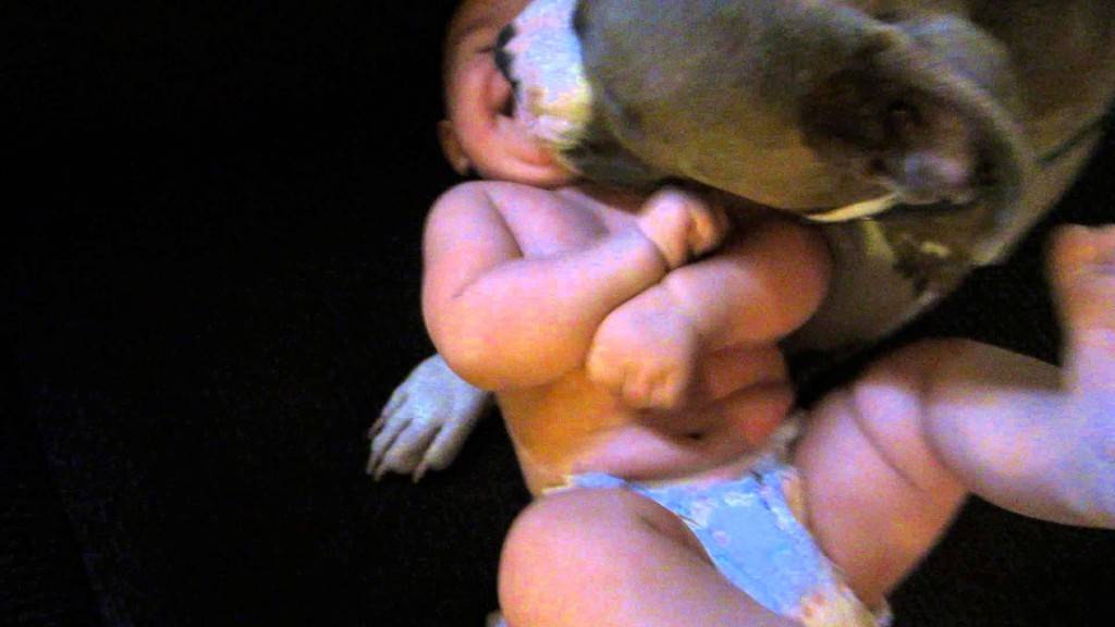 Ова треба да се погледне: Што се случува кога ќе оставите бебе само со питбул…