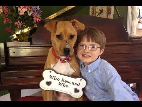 Едно семејство посвоило повредено куче за нивниот син со аутизам, но не очекувале дека нивниот живот тотално ќе се промени!