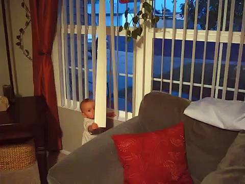 Мајката забележала дека бебето нешто чека крај прозорот. Кога ќе видите кого го чекало, ќе ви се растопи срцето!