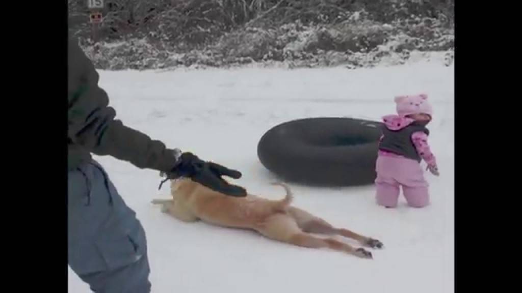 Таткото ја снимал својата ќерка како си игра во снегот, а потоа од никаде се појавило ова