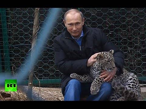 Во слободно време Путин се дружи со леопарди