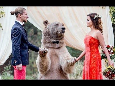 Невидена свадба во Русија: Мечок ги венча младите!