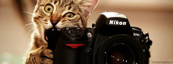 immagine-timeline-gatto-macchina-fotografica
