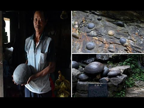 Мистериозна карпа секои 30 години „снесува“ по едно јајцe