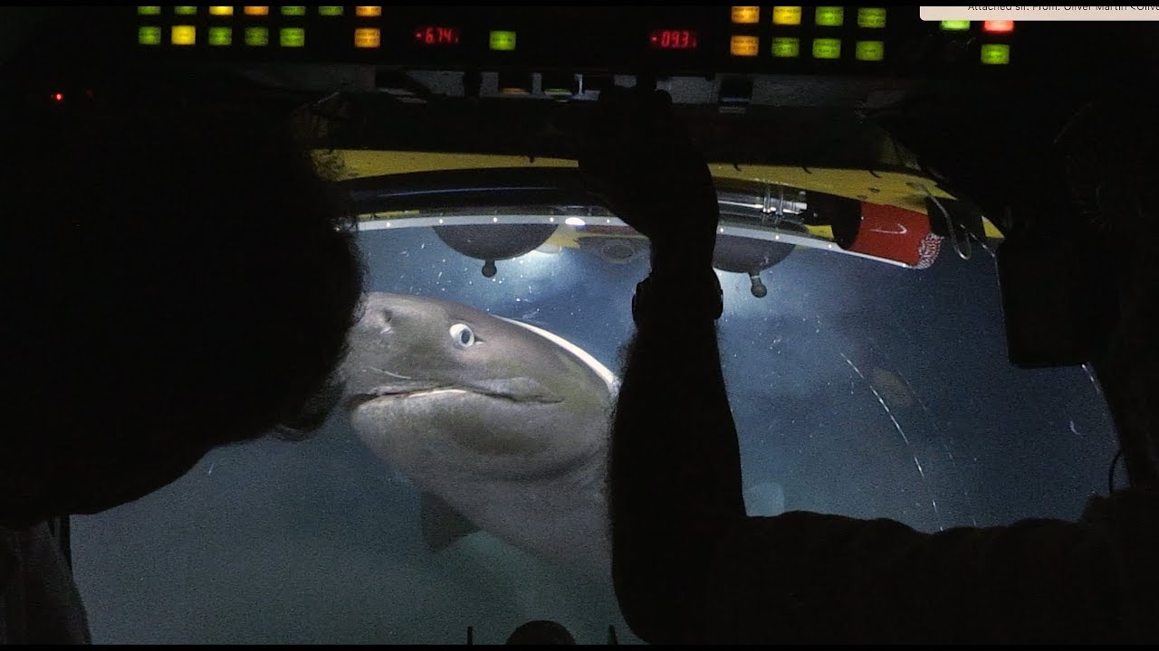 Џиновски ајкули нападнаа подморница