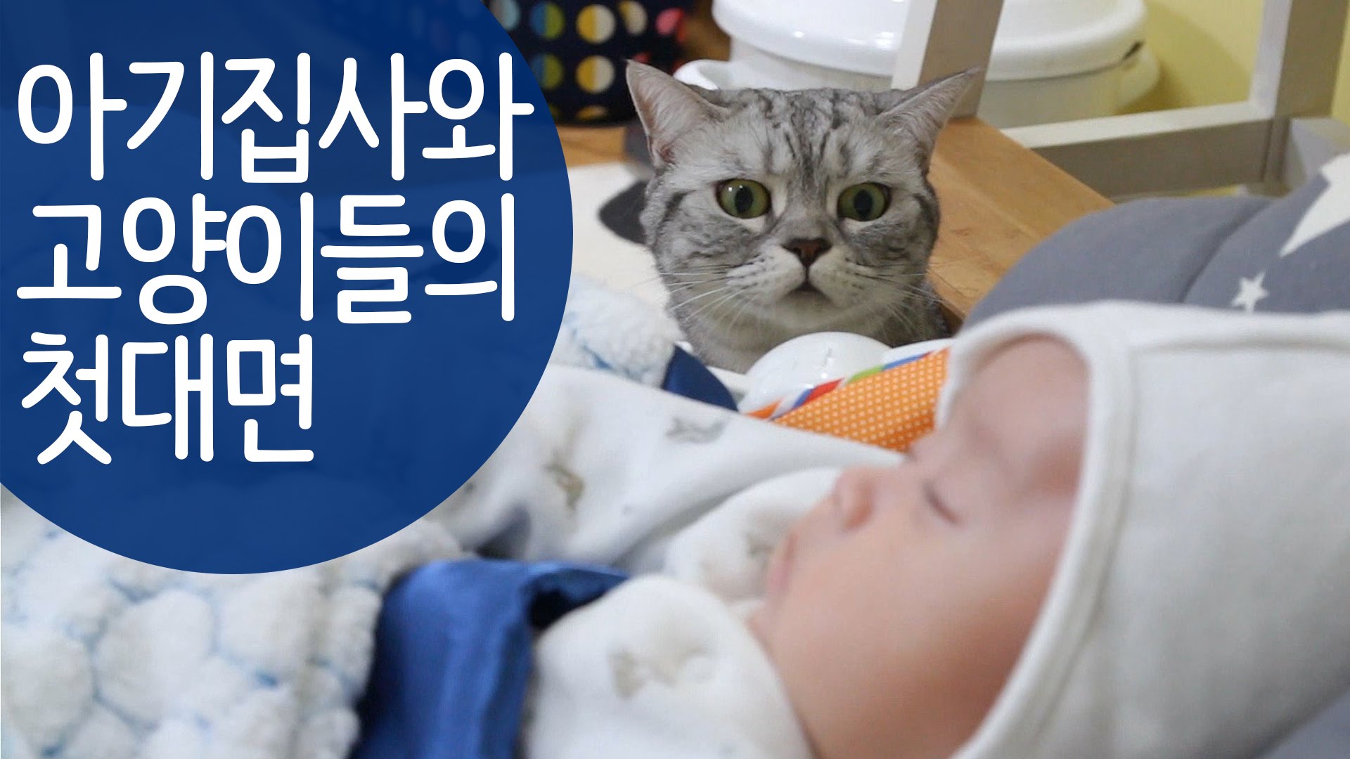 Го донеле дома штотуку роденото бебе, а погледнете како на тоа реагирала нивната мачка!