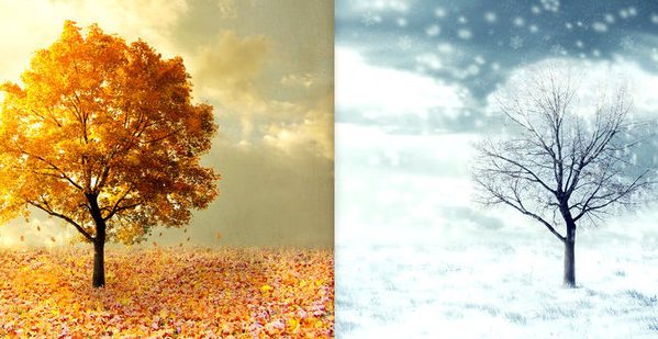 seasons-photo