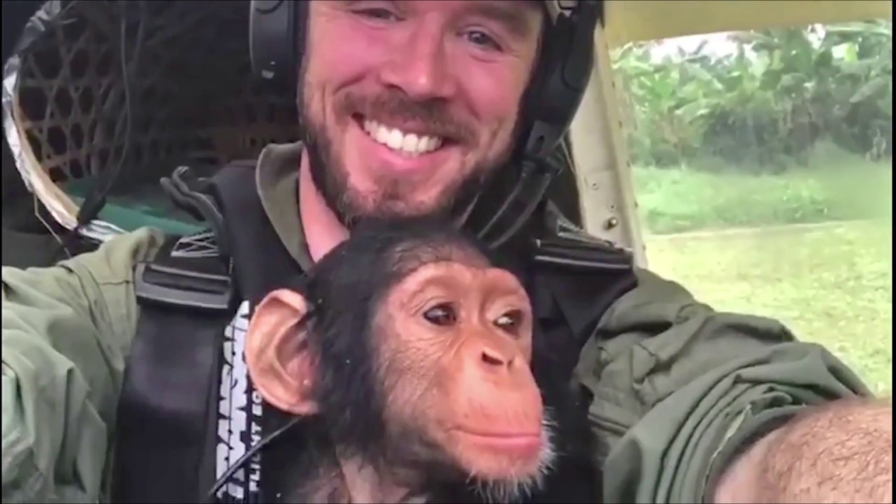Видео од пилотот кој вози бебе шимпанзо го разнежни светот