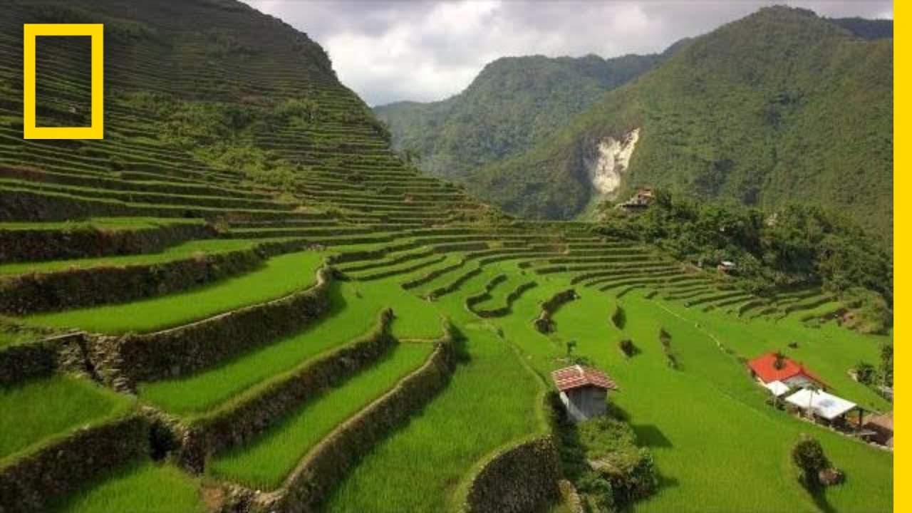 Обиколка на оризовите територии на Филипините
