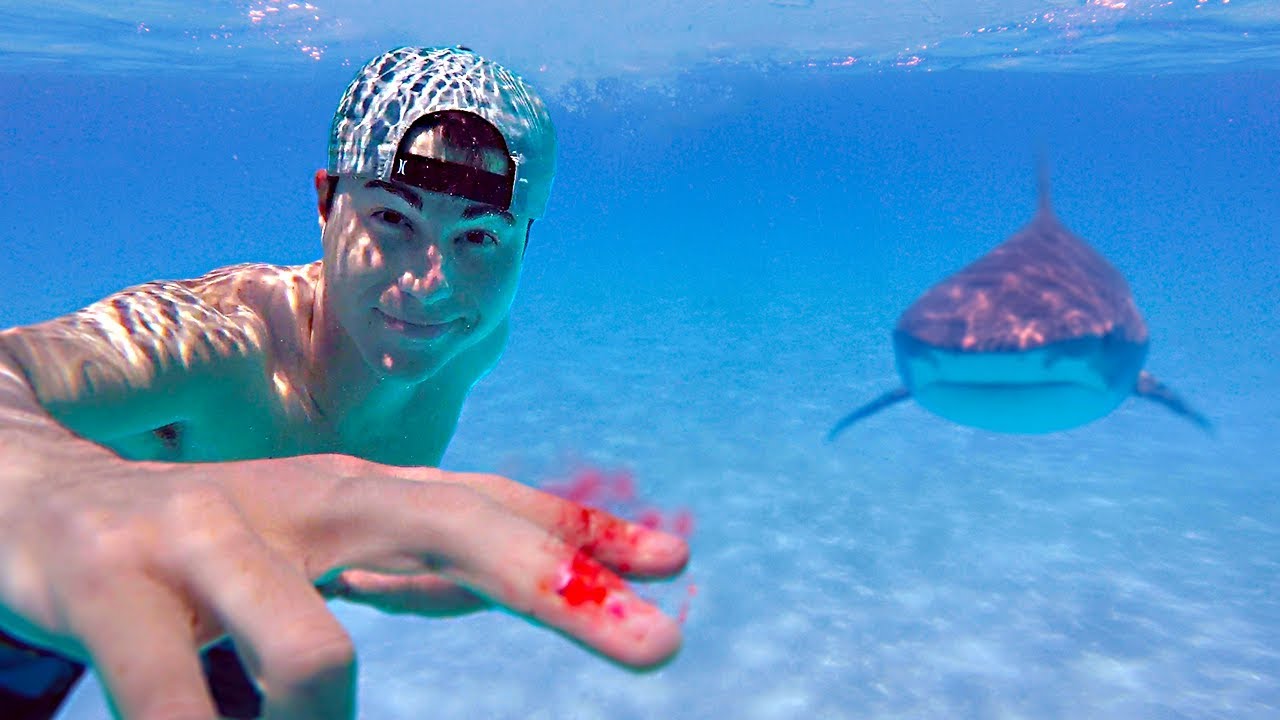 Дали ајкулите навистина ja чувствуваат крвта во водата? Овој јутубер докажа нешто неочекувано!