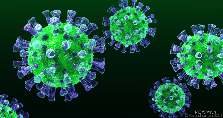 Mers-virus-3D-image.jpg