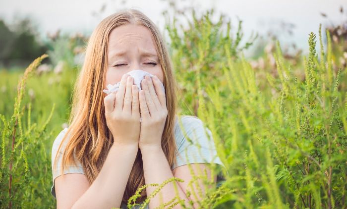 полен полен