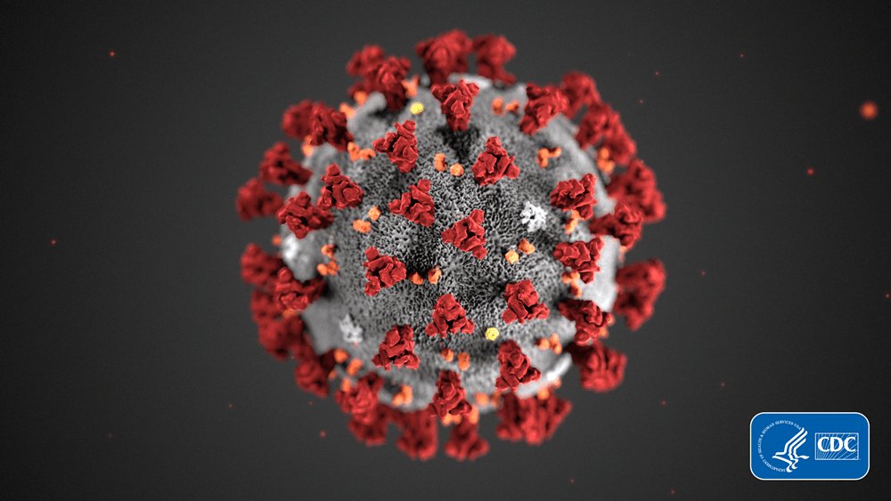 korona-virus-corona-2019-ncov