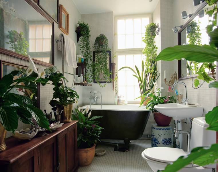 bathroom-plants-lush