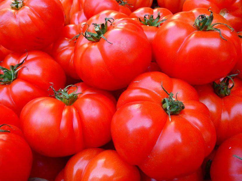 tomatoes-53561920-830x0