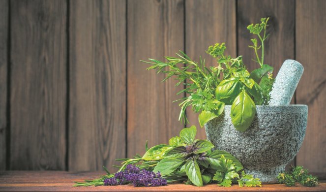 504372_xstock-photo-mortar-with-aromatic-kitchen-herbs-on-wooden-table-292843331_f