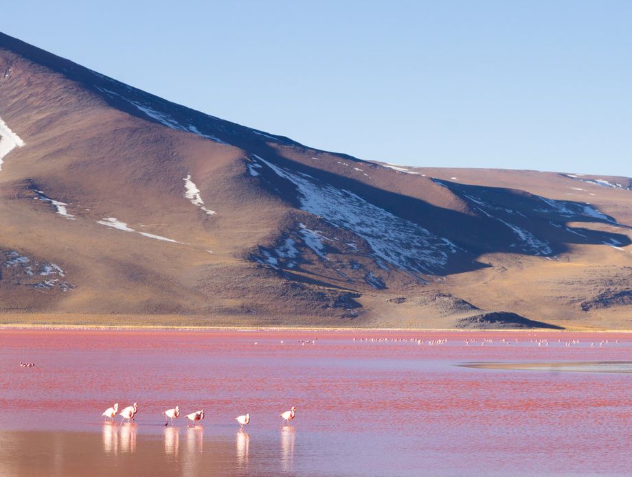 62475306-laguna-colorada