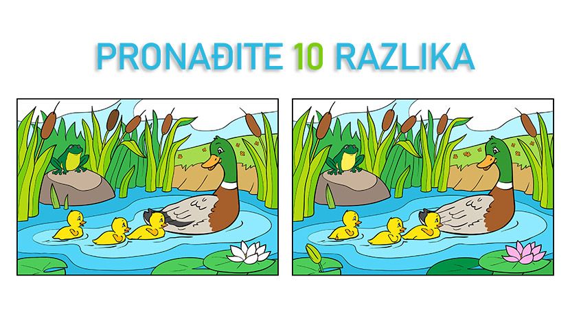 pronadjite-10-razlika-patke-5-830x0