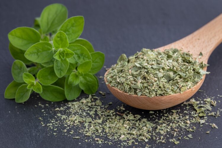 Dried,Marjoram,Or,Oregano,On,A,Black,Background,,Fresh,Marjoram