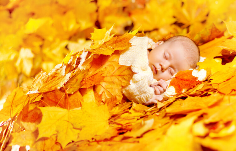 Autumn,Baby,Sleeping,,Newborn,Kid,In,Fall,Yellow,Leaves,,Asleep