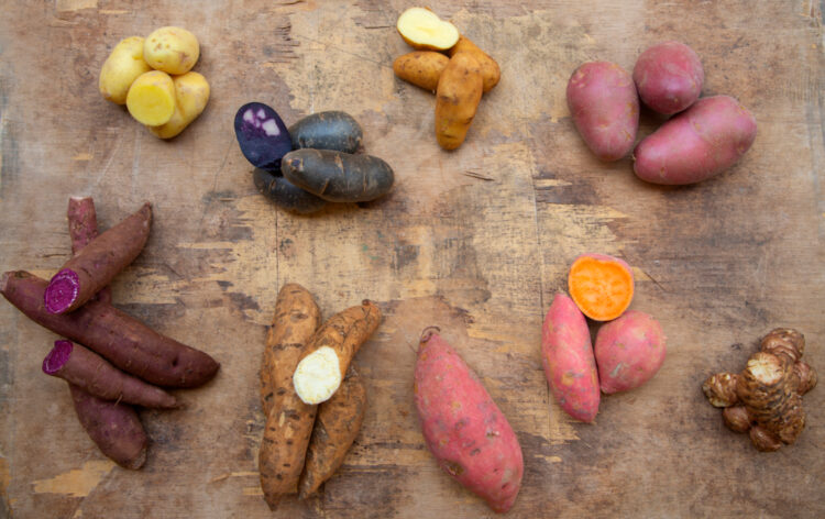 Variety,Of,Raw,Uncooked,Organic,Potatoes,Different,Kind,And,Colors