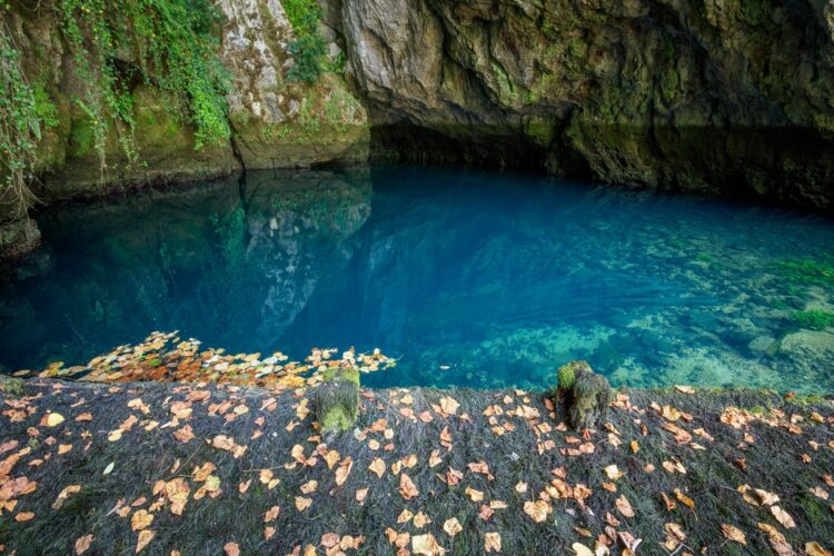 Spring,Of,River,Dabar,In,Bosnia