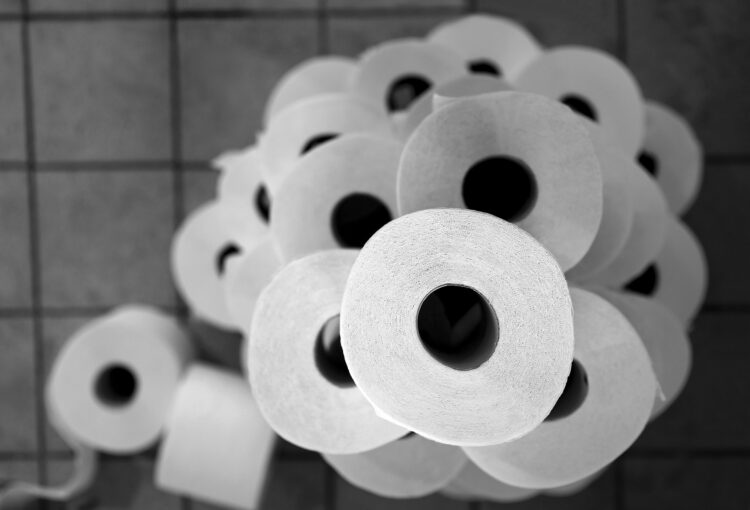 1666768819-toilet-paper-6494919_1920-750x510