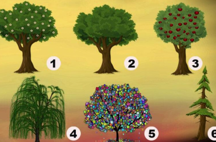 1003115_snimak-ekrana-2025-02-06-173026_iff 1003115_snimak-ekrana-2025-02-06-173026_iff