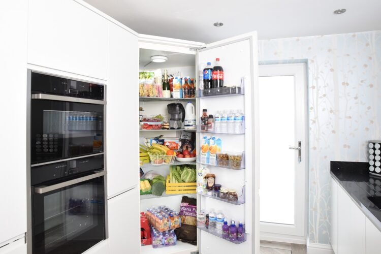 1706862189-fridge-3475996_1280-750x500