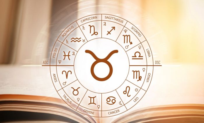 b86b6ed25bcea00ac57b825cdf6f76d4d6105de6