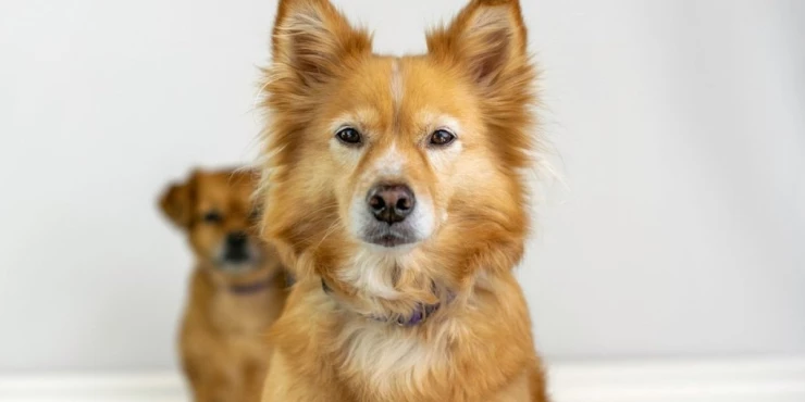 1210350_shutterstock-1952133331_m