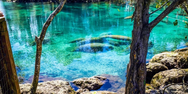 1213134_shutterstock-2296233793_m