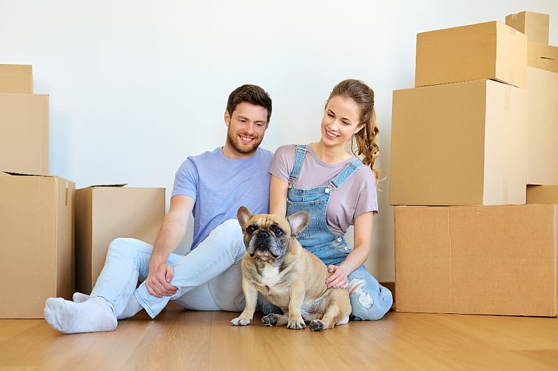 b_250808150 b_250808150