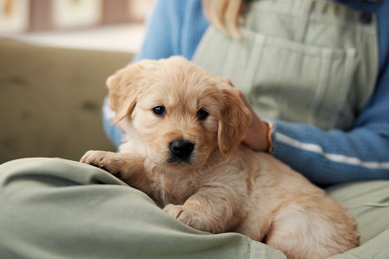 b_251106194 b_251106194