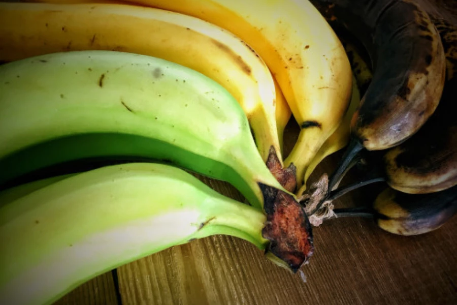 142472_shutterstock-1206481624_f