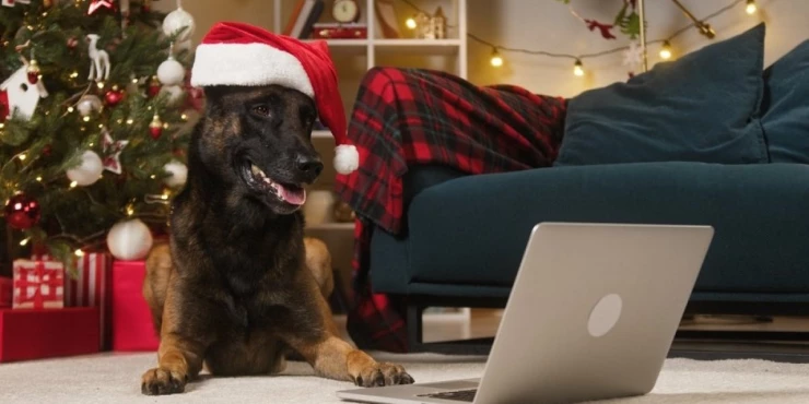 1290360_shutterstock-2063104106_m