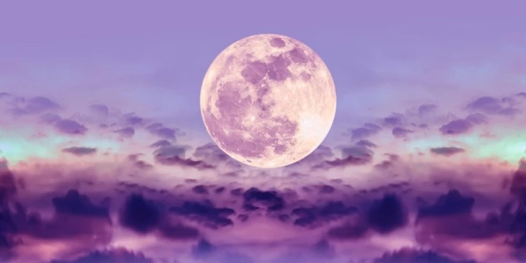 1057069_shutterstock-2449927861_m 1057069_shutterstock-2449927861_m