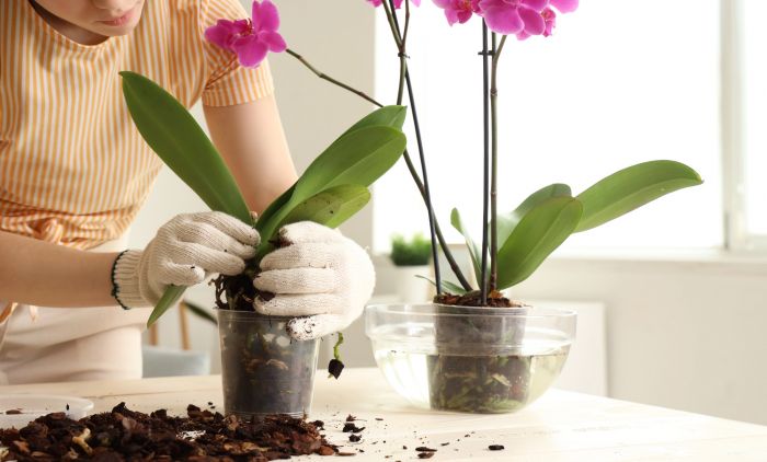 a289826f9aa6b47cae77406b4e1c2a64f709097d