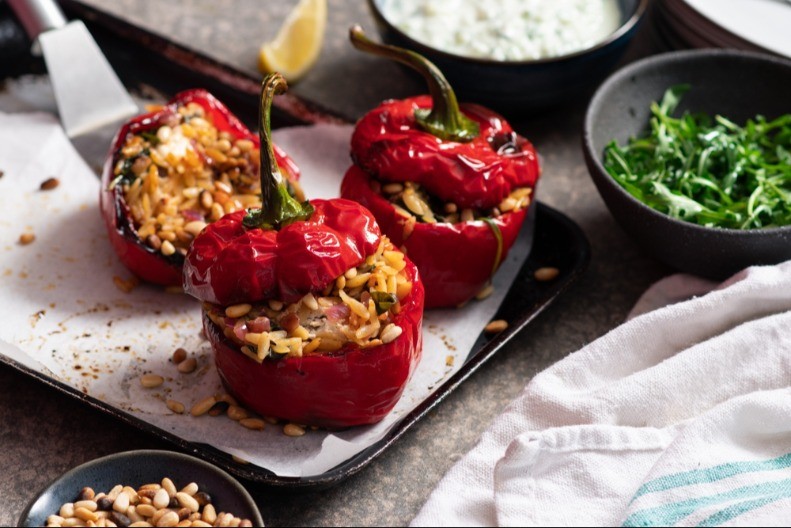 shutterstock_2240016053