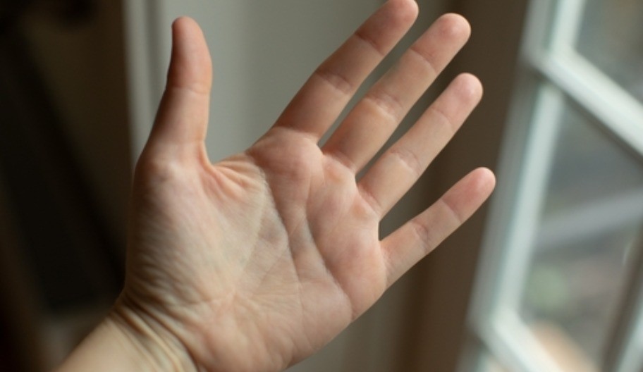 shutterstock_2434489369