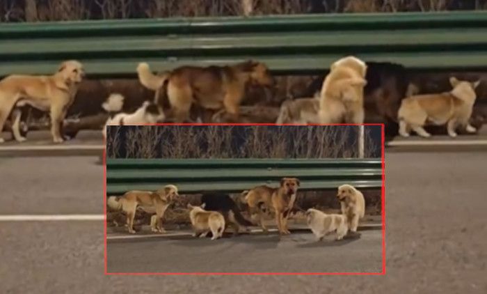 42a4fe8eea03c8d9ce0c4d99c58144f6aab763f3